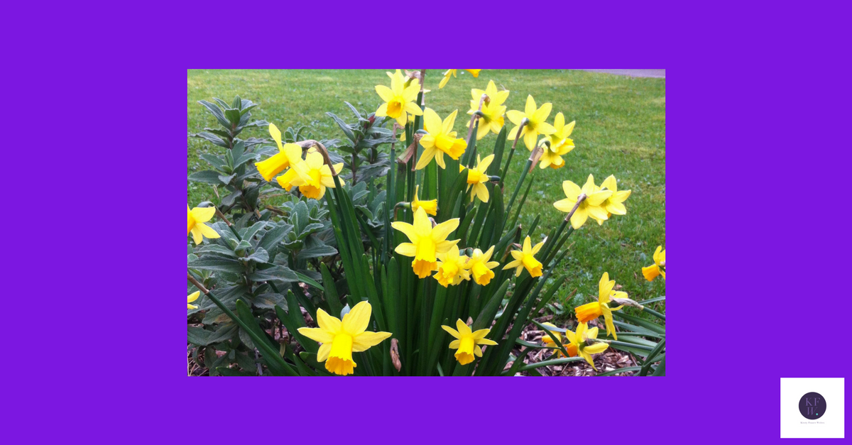 New resolutions for spring